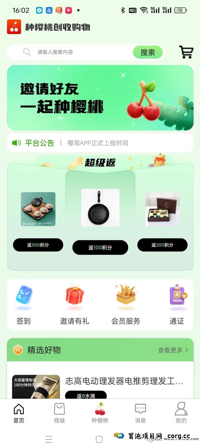 樱淘生活全新西皮购模式全解析，抓紧布局赢得先机，开启全新购物体验！