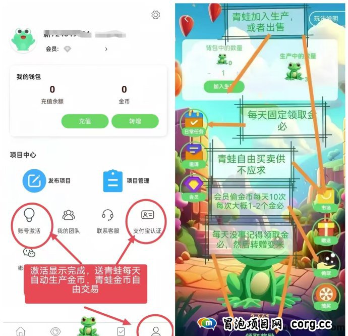 有蛙生活：养青蛙赚米，0成本轻松起步，日赚1-5米！