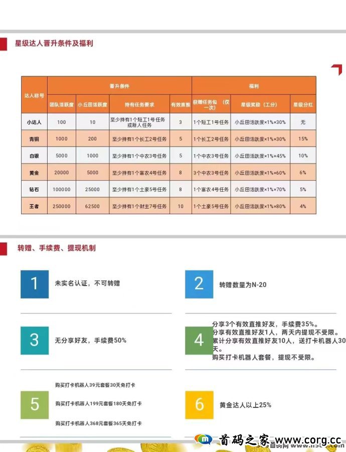 凤凰潮赚钱秘籍：零撸高扶持20米，多样玩法助你轻松获利！