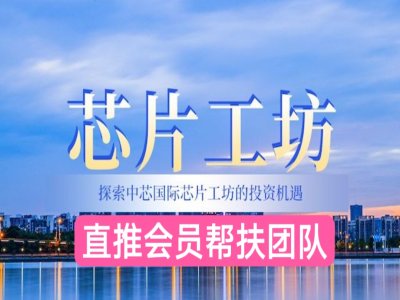 芯片工坊采用全新领投模式，在众多电商平台脱颖而出