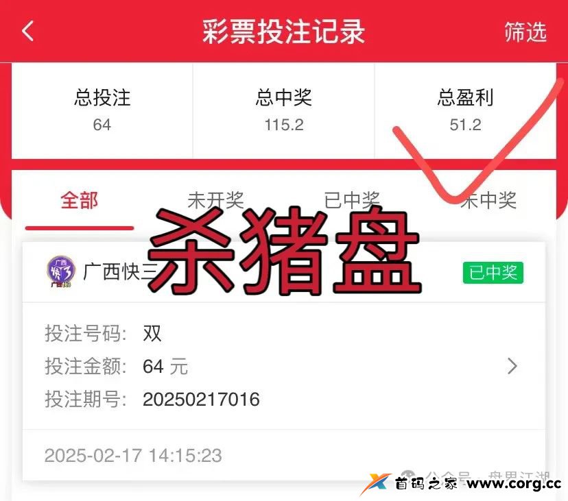 IGT彩票跟单类资金盘骗局