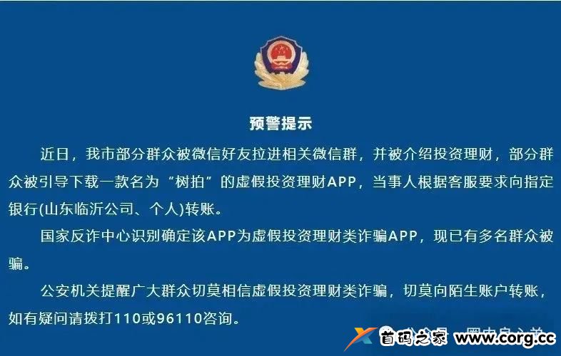 山东树拍易购数字店资金盘骗局最新情况